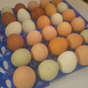 Homestead Eggs