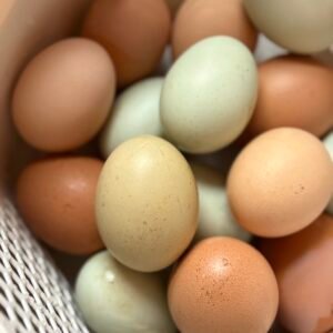 Rainbow Hatching Eggs
