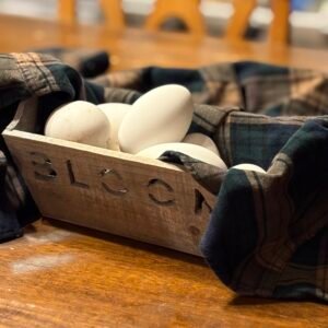 Goose Eggs