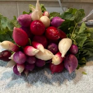 Radishes