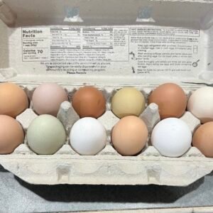 Farm fresh free range chicken eggs- unwashed