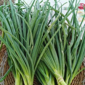Green Onions