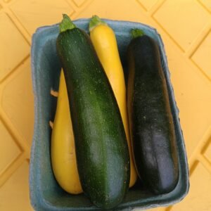 Summer Squash