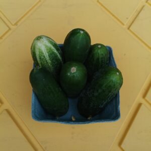 Cucumbers