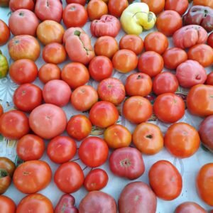 Heirloom Tomatoes