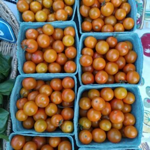 Sungold Cherry Tomatoes