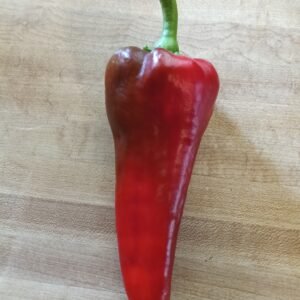 Corno di Toro sweet Italian roasting pepper