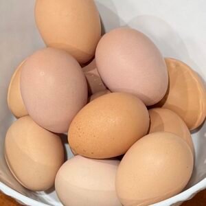 A bowl of unwashed brown free range chicken eggs