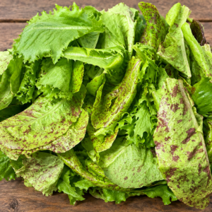 Fresh lettuce mix, grown locally on Ross Farm and Produce