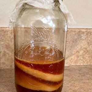 Kombucha Starter offered from a local producer